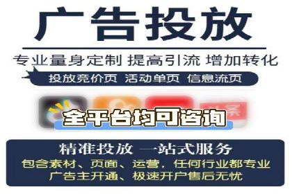 SEM推广实战：成功案例解读与策略调整